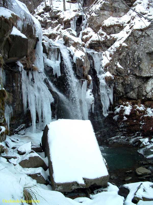  Image name: 11-cascate del dardagna.jpg 
 width: 600 pixel 
 height: 800 pixel 
 Size: 96148 bytes 
 Click to enlarge 